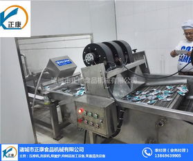 翻轉式風干機 正康食品機械的全自動環(huán)保解決方案
