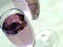 黔東南州望蘭山藍莓有限責任公司